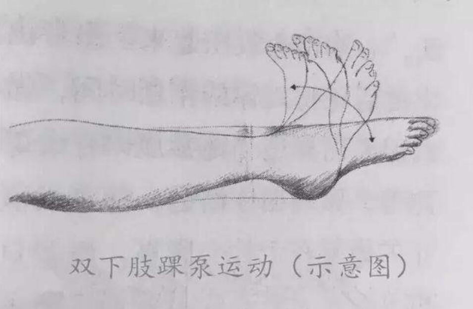 髋膝关节置换术操作规范2022版,髋骨关节置换术后康复锻炼