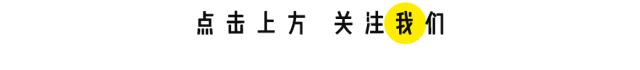 我们在距芜湖70公里的古坝村，找到了向往的生活