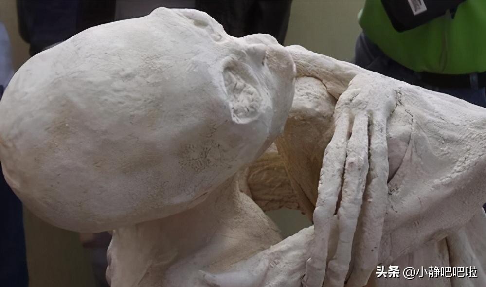 你不知道的国家冷知识苏里南,关于秘鲁的介绍