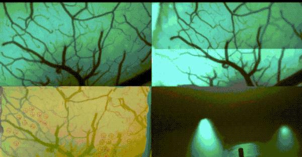整个微信都在刷屏,微信美国最新消息