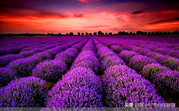 来*疆新**必吃的10种食物，没吃就等于没来*疆新**