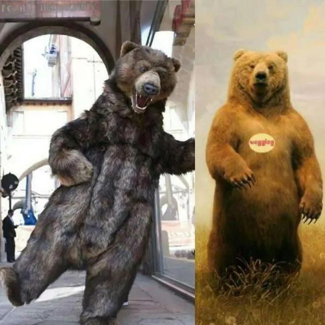 锋菲十年全记录,锋菲的最新视频