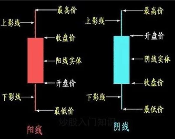 怎么看股票软件的收益,怎么看股票软件经典版