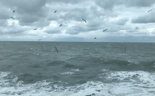 上海歌诗达邮轮旅游线路,日本邮轮游歌诗达