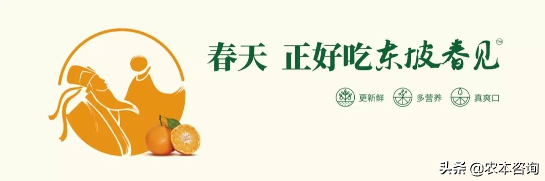 产品营销广告语怎么打吸引人,如何打造卖货广告语