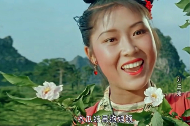 宅家里看老电影,宅在家里看的十二部电视剧