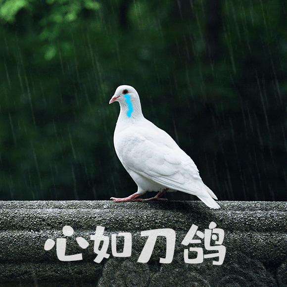 宝宝过敏咳嗽会自愈吗,宝宝过敏咳嗽是什么引起的