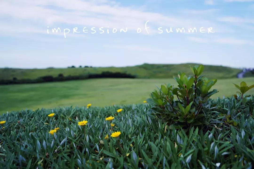 日系旅拍vlog视频,韩国济州岛旅拍游记