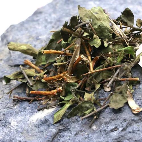 新生儿消化不良引起的湿疹,新生儿湿疹和婴儿消化有关系吗