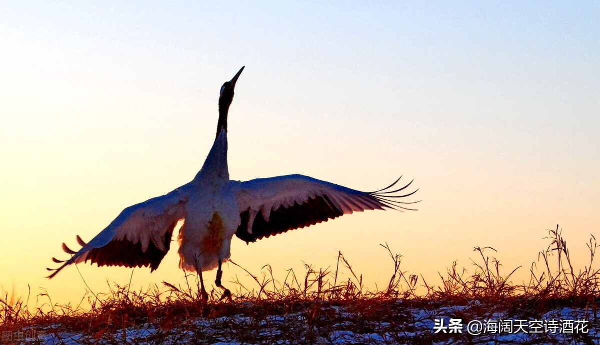 事出反常必有妖的下句话,有句话叫事出反常必有妖