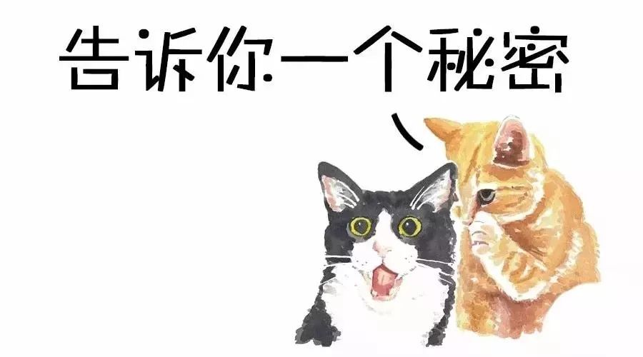 老婆怀孕了我该怎么办,如果老婆怀孕了我会怎么办