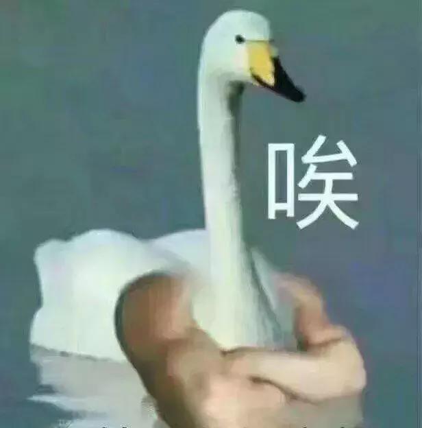 非得戳瞎一只眼睛才能当海盗吗？