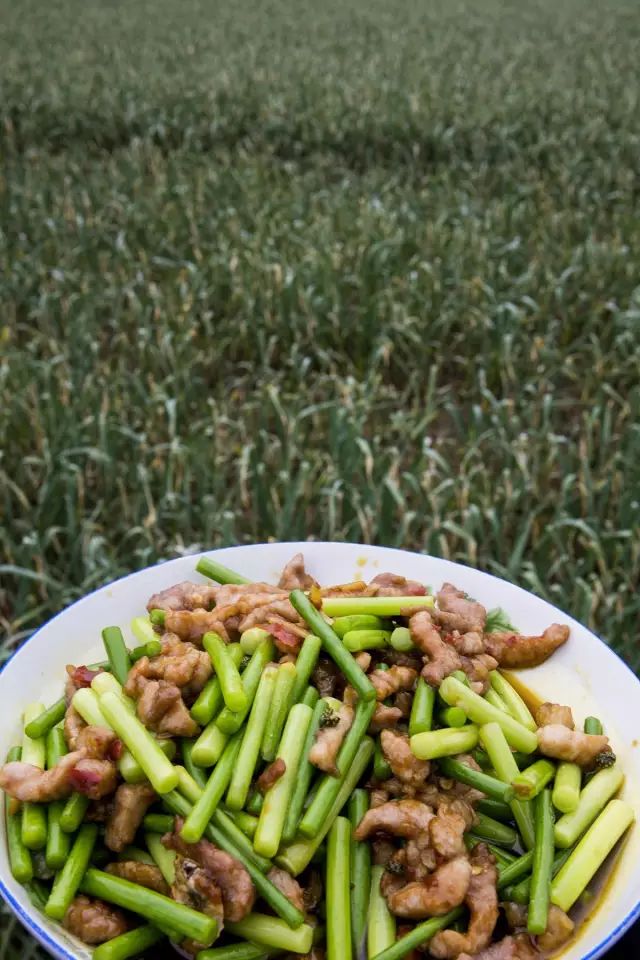 鍐滄潙钂滆柟鐐掕倝,鍐滃钂滆柟鐐掕倝