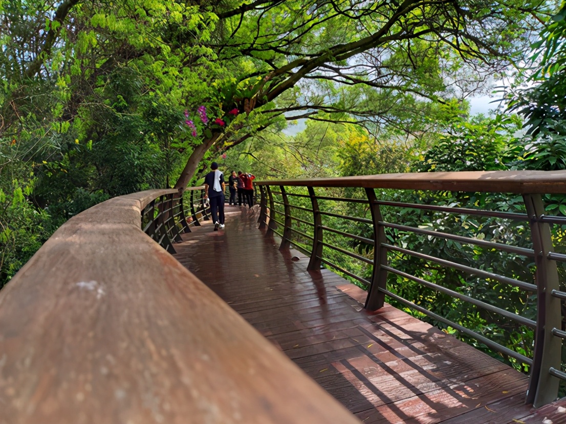 vivos9天玑1100和天玑820哪个好,vivos12天玑1100性能测评