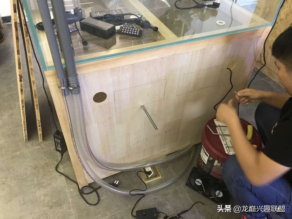 从零开始玩海缸的方法,从零开始玩海缸全过程