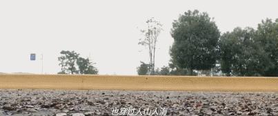 六部超爽刺激的暴力飙车电影,值得一看的飙车电影