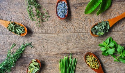 日本旅行必买美妆,日本旅行购物指南