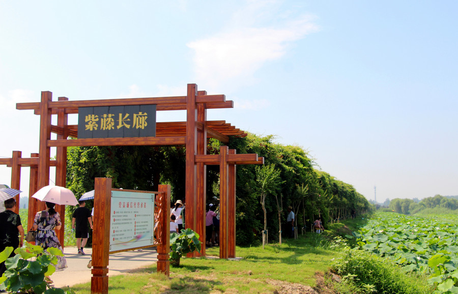 「淮安市作家“相约荷花荡”采风作品展」赵海洋：何不载荷归