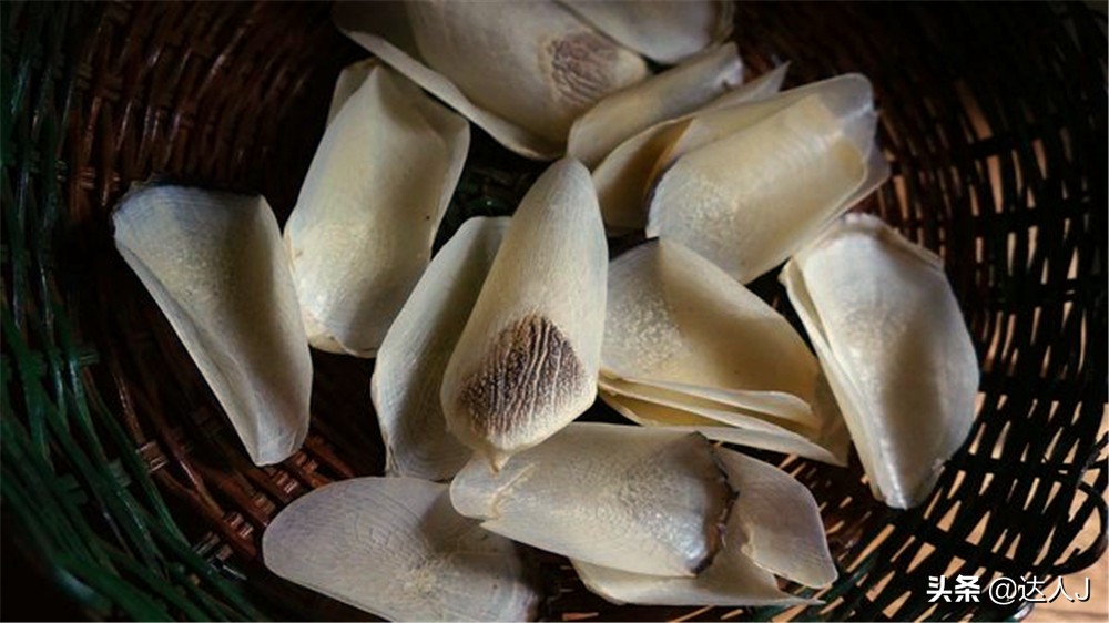 小天独家的全部视频,小天全国自驾