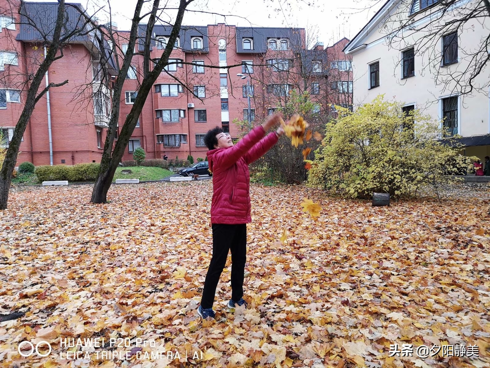俄罗斯夏宫旅游攻略,俄罗斯圣彼得堡夏宫视频