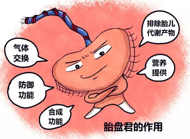 前置胎盘孕晚期如何避免出血,凶险性前置胎盘一般多少周会出血