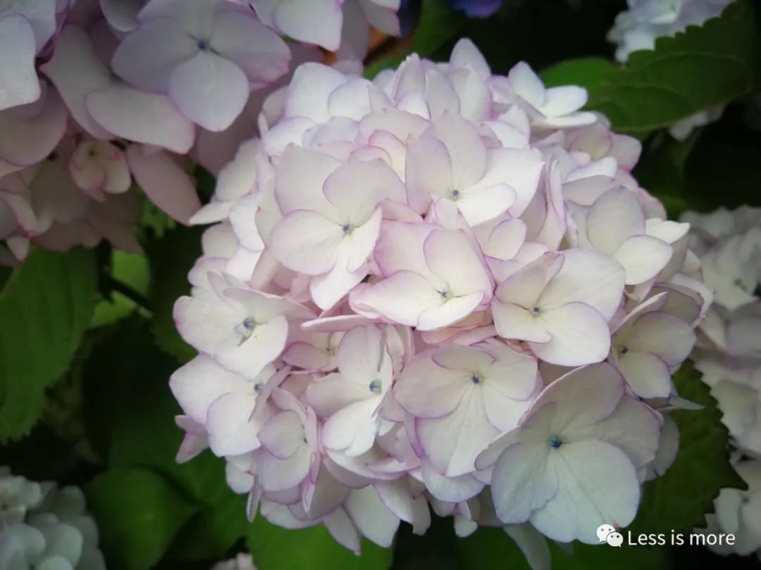 韩国济州岛超详细旅游规划攻略,韩国济州岛攻略自由行