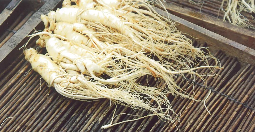 一颗匠心永流传,颗颗精工