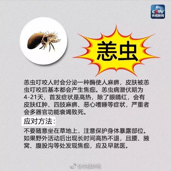 红火蚁出没村民被咬致休克,红火蚁入侵这里多人被咬伤