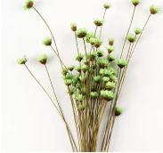 公路一建挂靠一年多少,19年二建跟22年二建区别