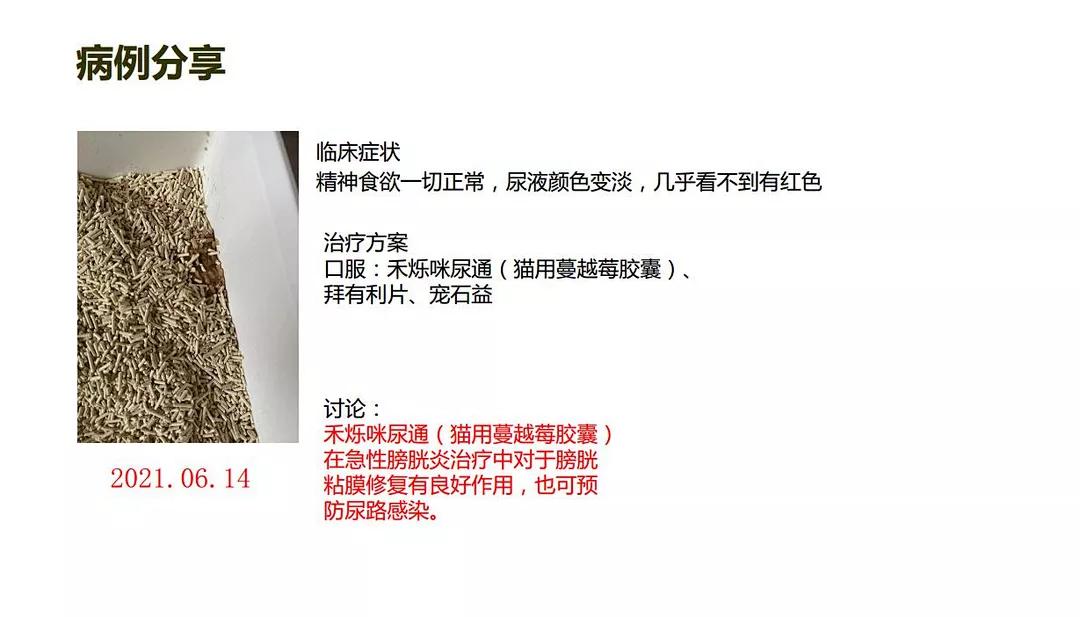 猫咪的泌尿处方粮有用吗,猫咪泌尿发炎用什么药