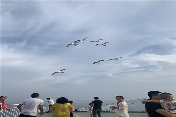 从烟台到大连坐船带小车价格多少,带车烟台至大连轮渡时间表