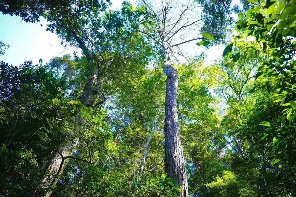 韶关经律论温泉度假村详细地址,韶关经律论温泉周边住宿