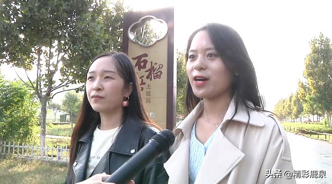 万紫千红迎国庆图片,万紫千红迎国庆丹桂飘香聚中秋