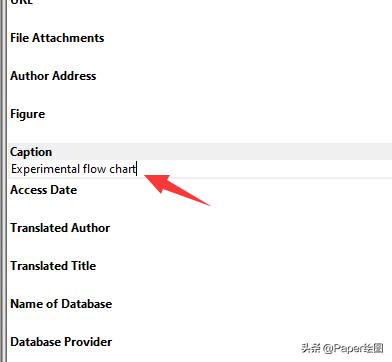 endnote怎么给文献加pdf,endnote怎么编辑文献输出格式