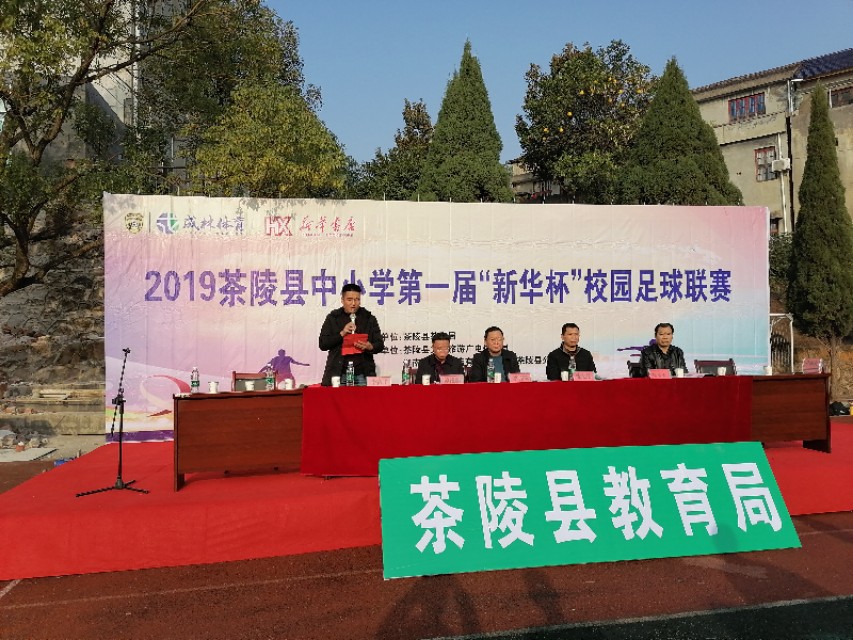 茶陵县足球联赛,茶陵城西小学足球赛