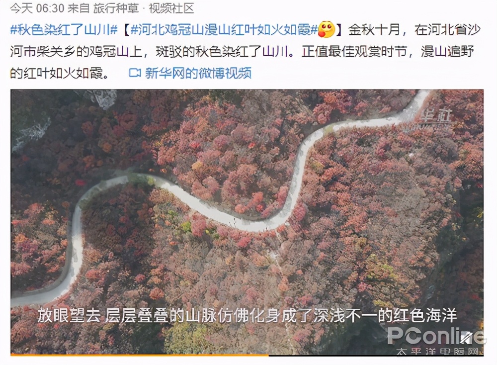 四大赏枫胜地你最想打卡哪个,赏枫胜地有哪些