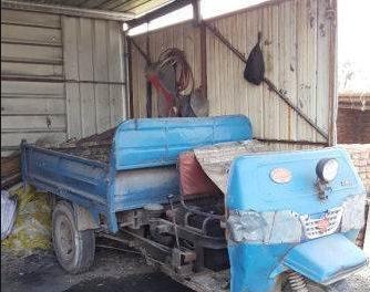 鑻规灉鏂板啝鑲虹値鐤儏,鑻规灉鎰熸煋鏂板啝鑲虹値