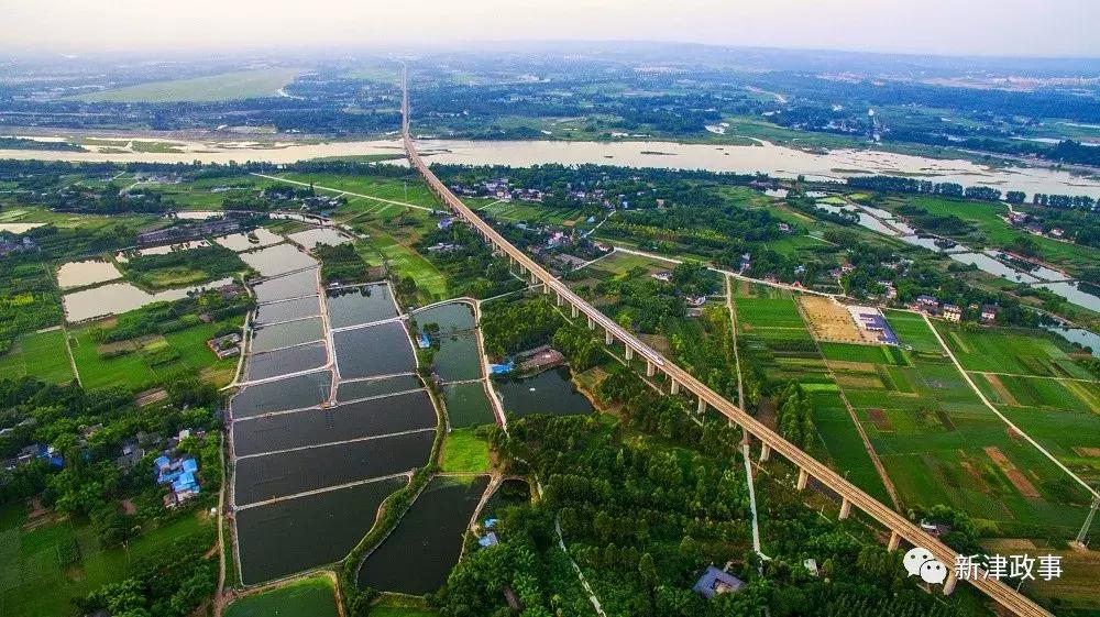 新津湿地公园最近美景,新津湿地公园景色