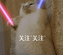 比熊突然特别凶叫怎么办,比熊突然浑身疼是怎么了