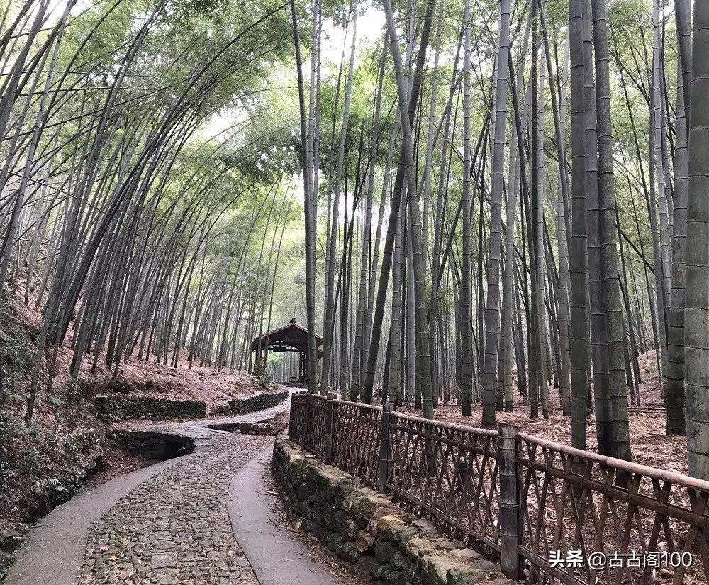 萧绍古道沿途风景,萧绍古道难爬吗