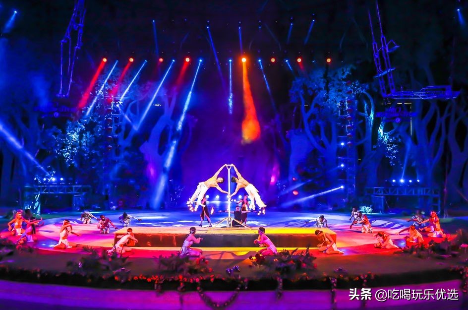 厦门灵玲动物王国大熊猫,厦门马戏团灵玲动物王国观光游览