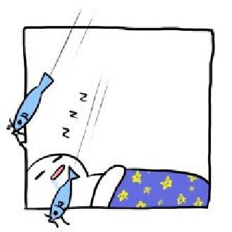 延伸护理服务与疾病知识科普（二）肛门的由来未完后面持续更新