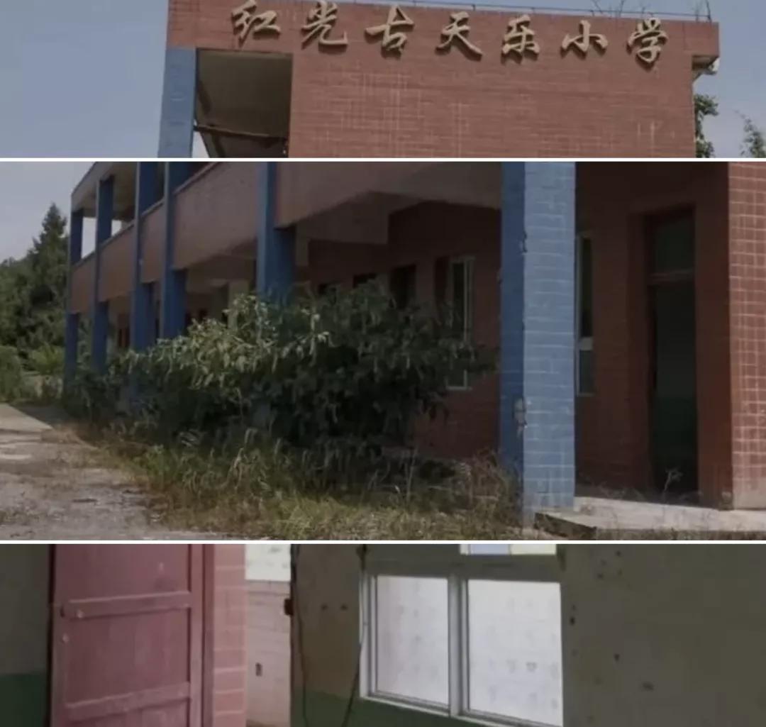 古天乐被点评,古天乐被人嘲讽的后果