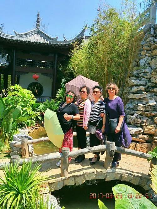 红色宝石树图片,红色宝石