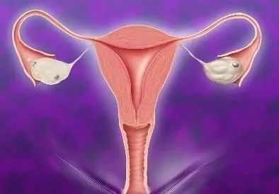 试管婴儿胚胎移植后多久可以着床,试管移植后胚胎多久可以着床