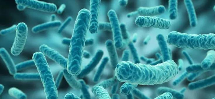 盗墓贼为啥都是短命的,盗墓贼为什么可以短命