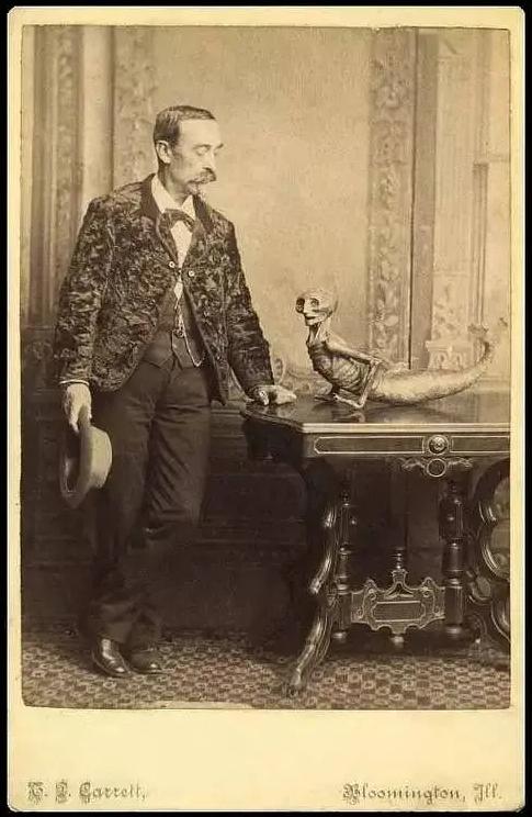 真正的日本龙标本,日本龙标本是不是真的