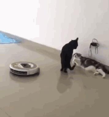 扫地机器人是机器做的还是人做的,扫地机器人属于人形机器人吗