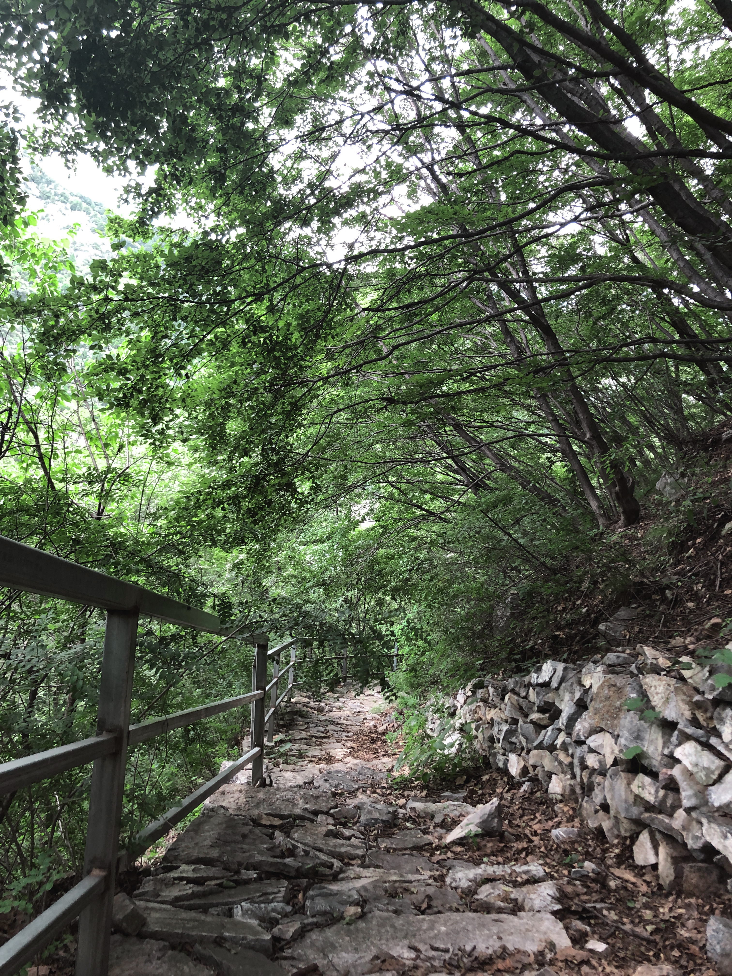 京郊十条登山步道推荐,房山蝴蝶谷登山步道