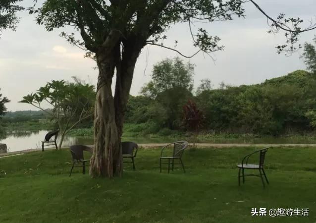 夫九珑度假山庄,广州九夫珑度假农庄